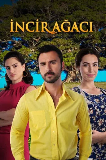 İncir Ağacı poster
