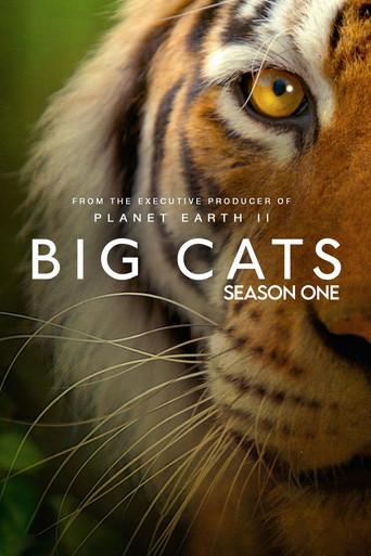 Big Cats season 1 poster
