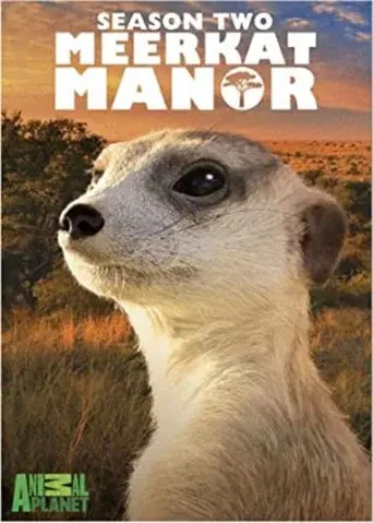 Meerkat Manor season 2 poster