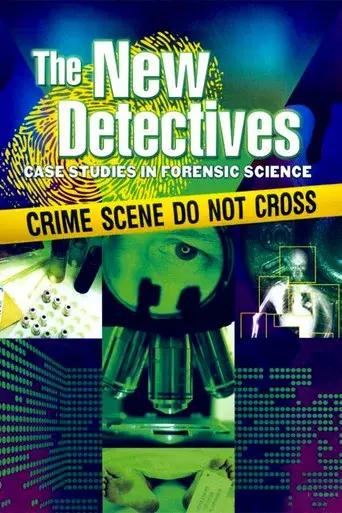The New Detectives season 1 poster