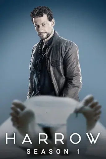 Harrow season 1 poster