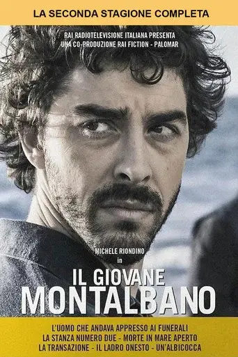 The Young Montalbano season 2 poster