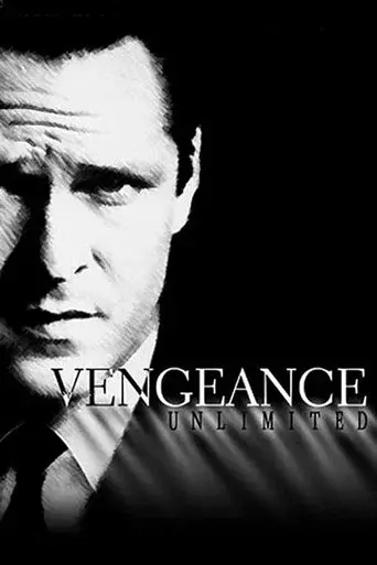 Vengeance Unlimited season 1 poster