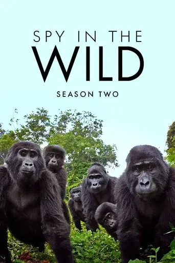Spy in the Wild season 2 poster
