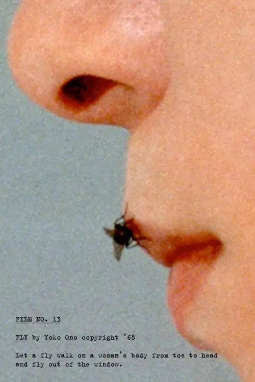 Fly poster