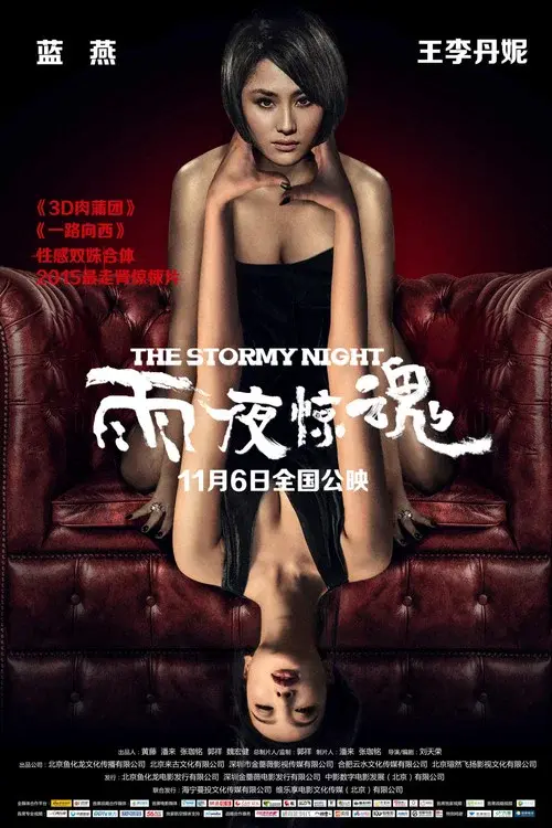The Stormy Night poster