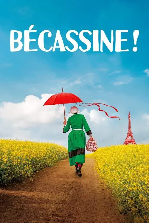 Bécassine ! poster