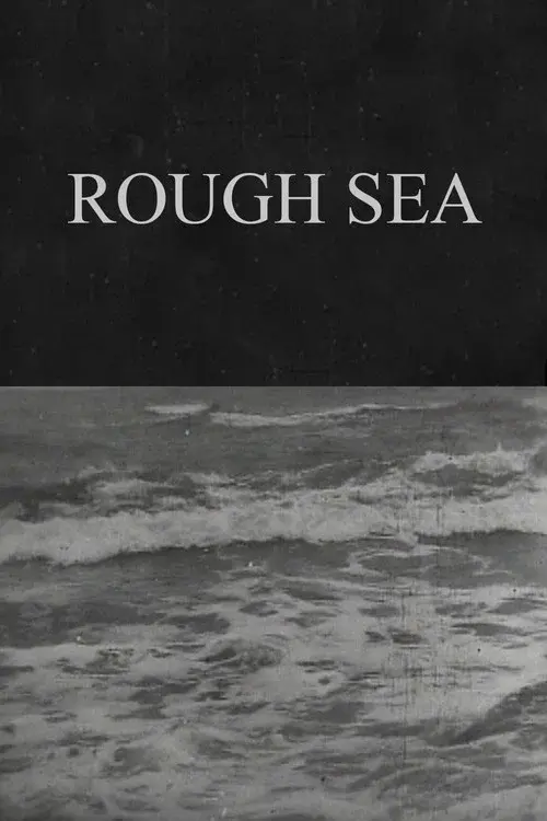 Rough Sea poster