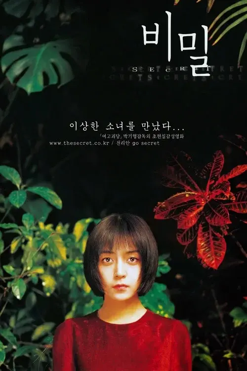 Secret Tears poster