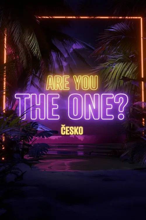 Are you the one? Česko poster