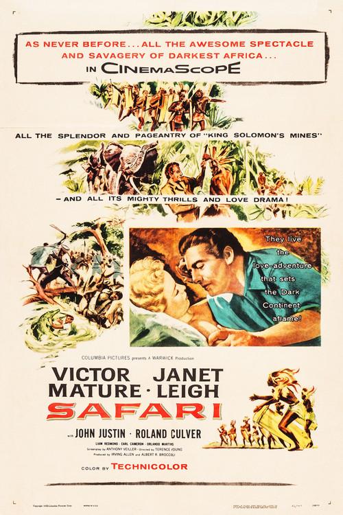 Safari poster