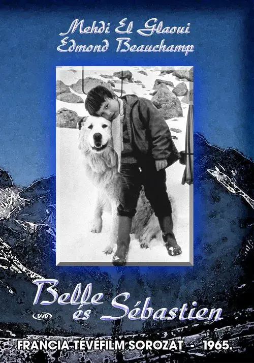 Belle and Sebastian poster