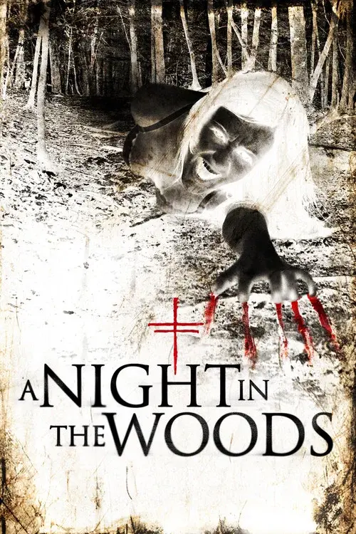 A Night in the Woods poster