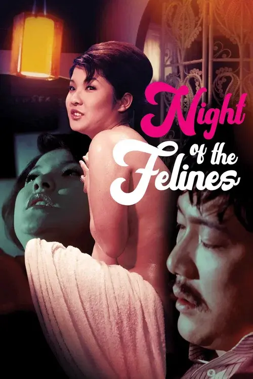 Night of the Felines poster