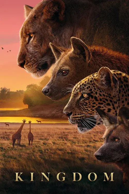 Kingdom poster