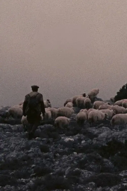 Orgosolo’s Shepherds poster