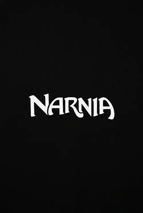 Narnia: The Magician's Nephew poster