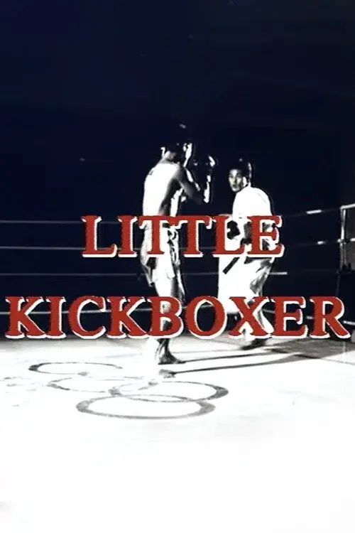 Thunder Ninja Kids 5: Little Kickboxer poster
