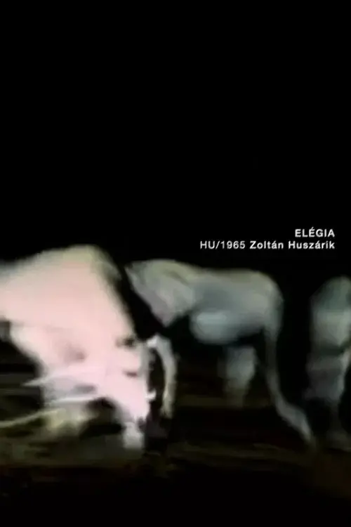Elegy poster