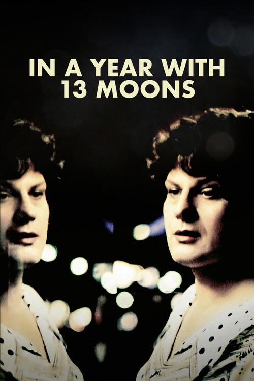 In a Year with 13 Moons poster