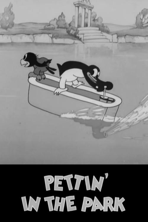 Pettin' in the Park poster