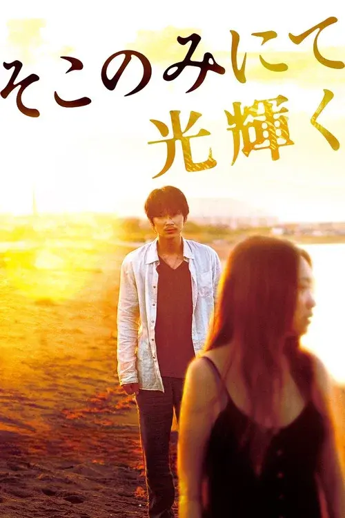 The Light Shines Only There poster