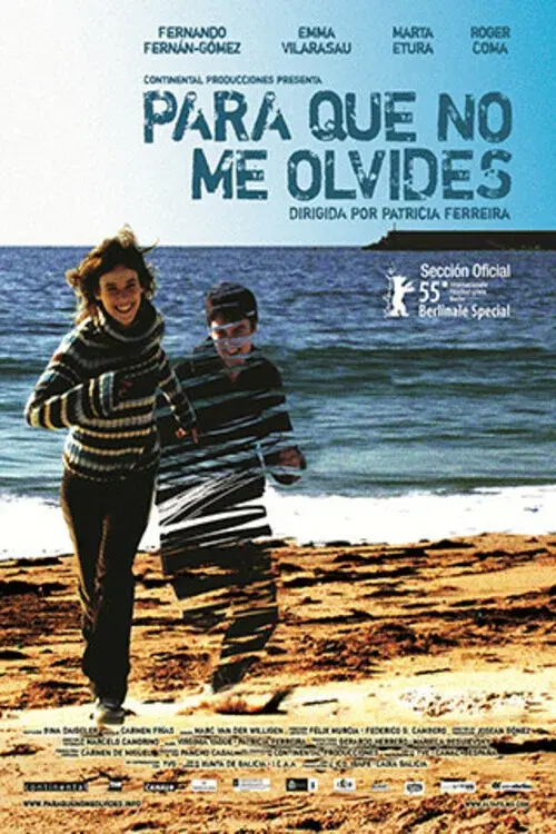 Something to Remember Me By poster