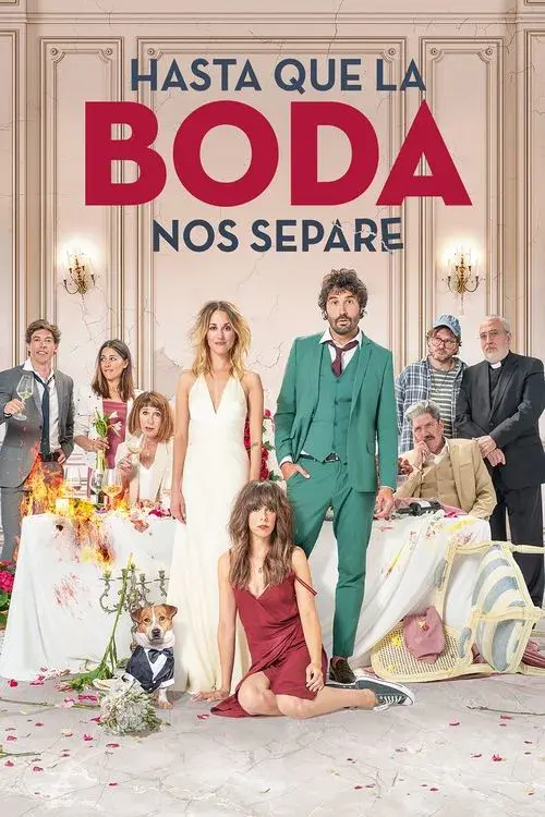 The Wedding Unplanner poster