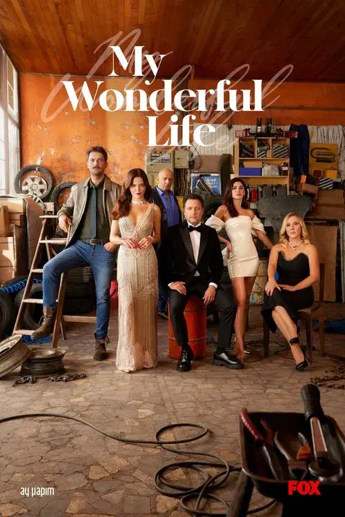 My Wonderful Life poster