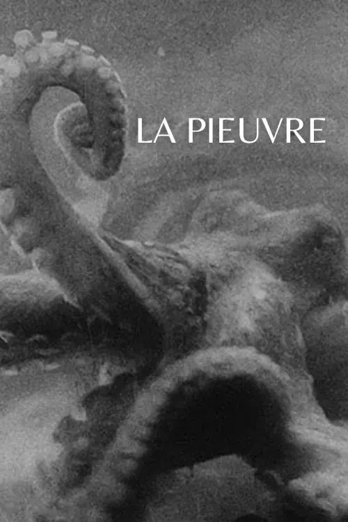 The Octopus poster