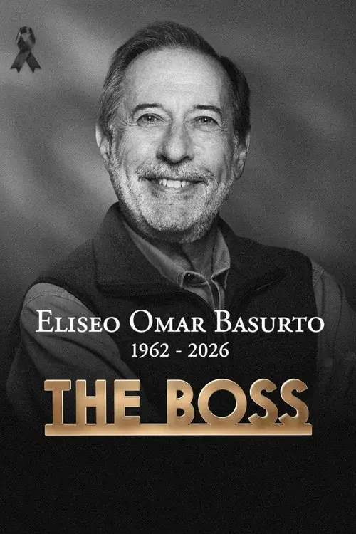 The Boss poster