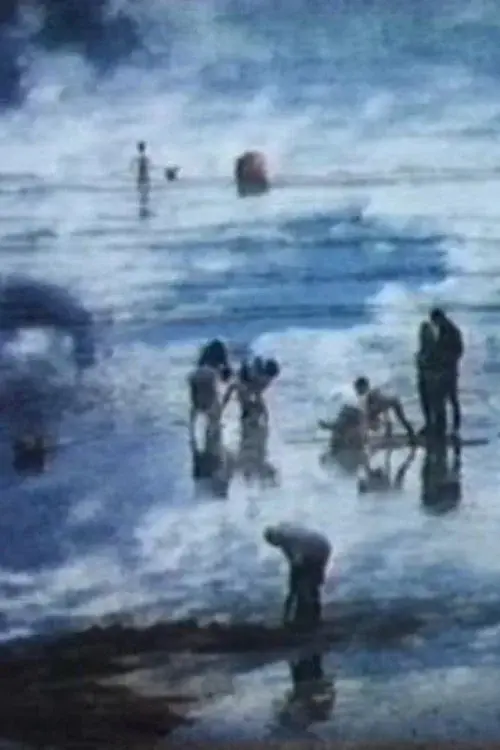 The Beach poster