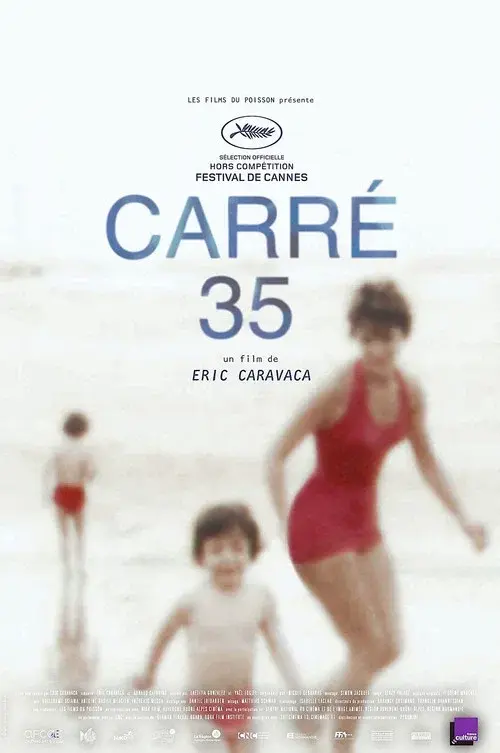 Plot 35 poster