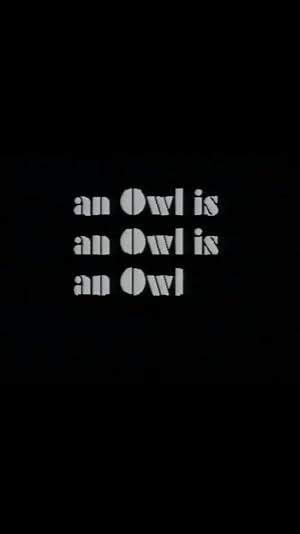 An Owl Is an Owl Is an Owl poster